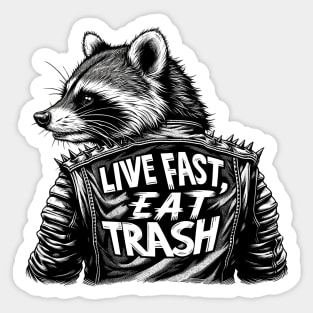 Rebel Raccoon: Streets & Scraps Sticker